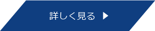 詳しく見る